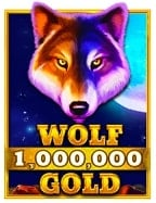 ท่องโลกเสี่ยงโชคไปกับ สล็อต เว็บ ช้าง